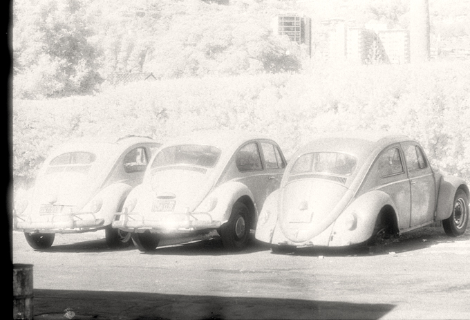 Three VWs